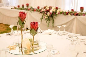 Haga Haga Weddings - 3