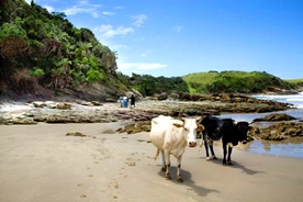 Haga Haga Hotel, Self Catering and Conference-20